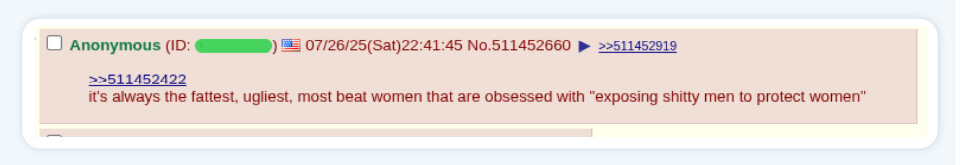 Cyber misogyny, tea app data breach, online harassment